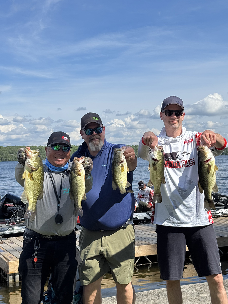 PRO BASS 2026